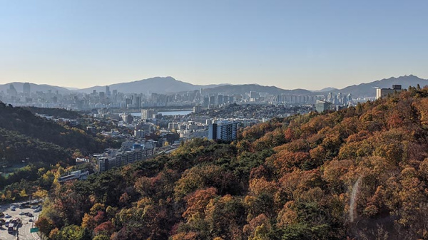 Korean city and forest