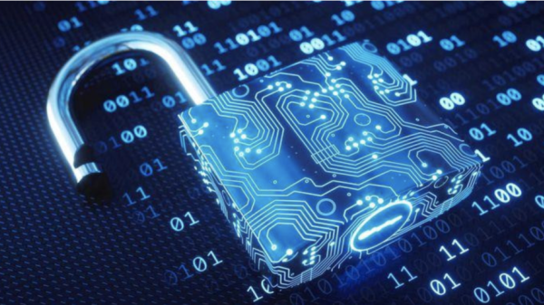 Cyber capacity