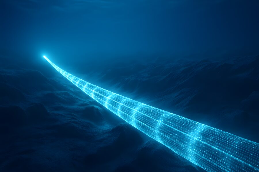 Roundtable on subsea cables as critical infrastructure
