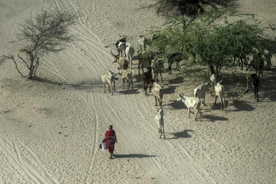 Climate, Insecurity and Displacement: Triple Barriers to the ...