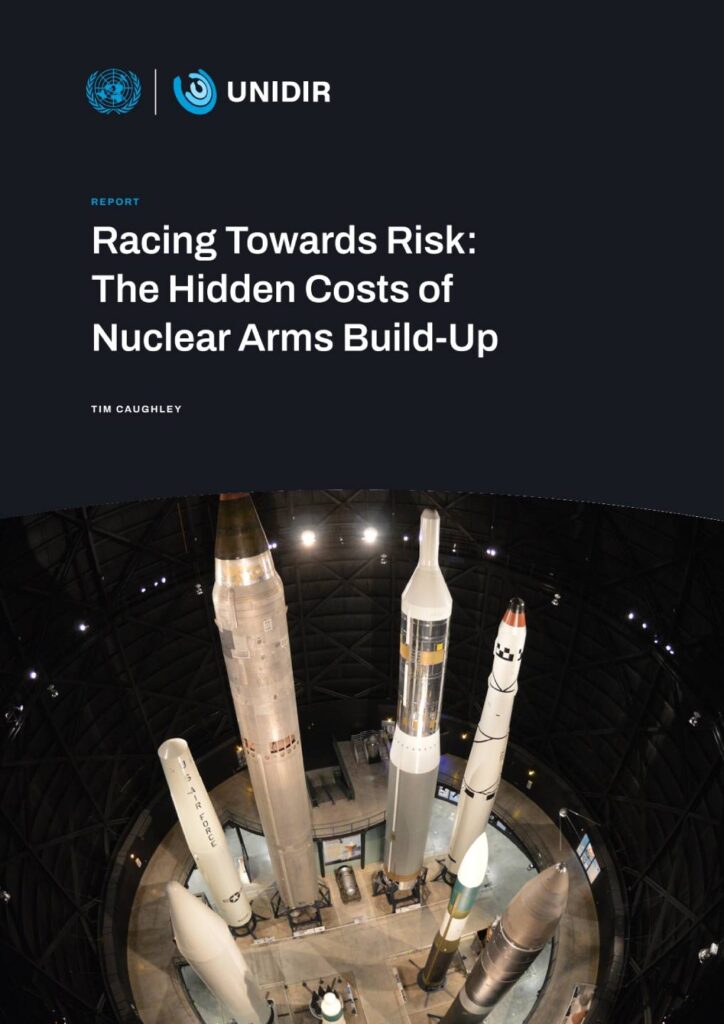 Racing Towards Risk: The Hidden Costs of Nuclear Arms Build-up