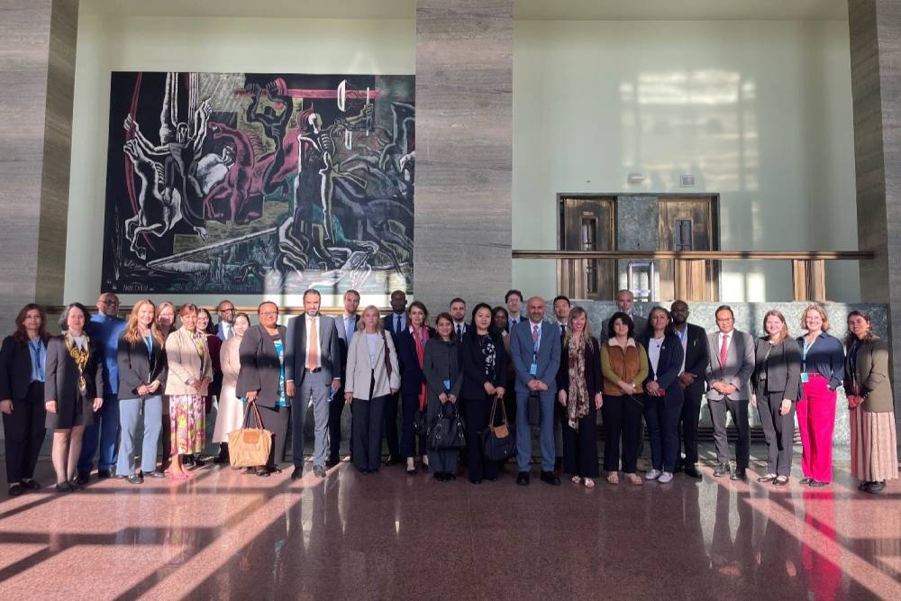 Building diplomatic capacity in disarmament and global security
