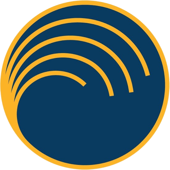 Secure World Foundation